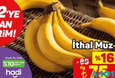İTHAL MUZ KG İTHAL MUZ KG